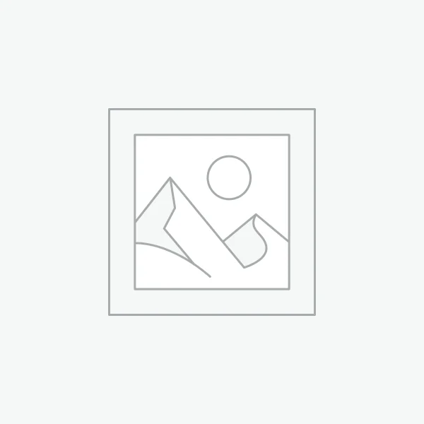 woocommerce-placeholder AE ASA2302: поршневая группа для двигателей Scania DS11/DSC12